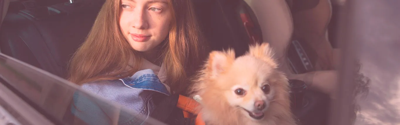 viaja con tu mascota en inter transfer